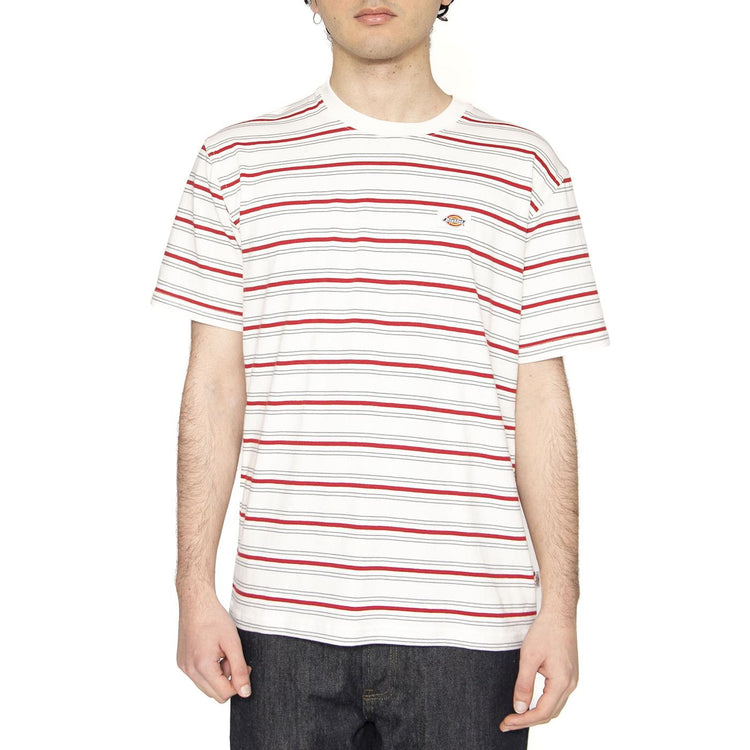 Lewistown Stripe SS Tee Egret - Maglietta Girocollo Uomo Multicolore DK0A4Z8SC481  DICKIES 