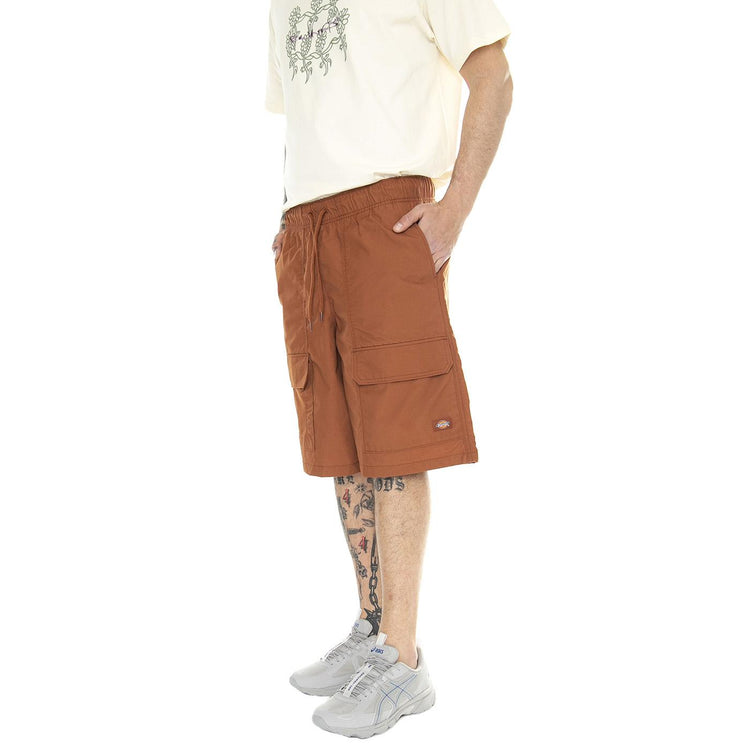 Fisherville Short Mocha Bisque - Bermuda Uomo Marroni DK0A4YSIH161  DICKIES 
