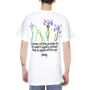  1904633-WHIT  STUSSY 