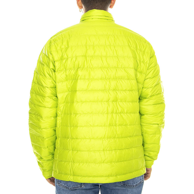  84674-PGCL  PATAGONIA 