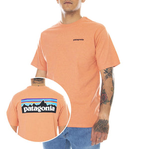  38504-COHC  PATAGONIA 