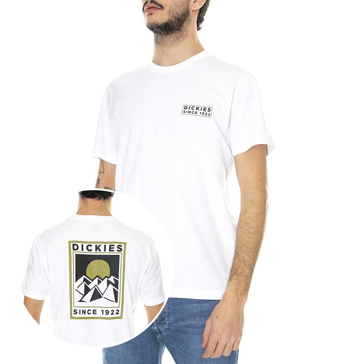  DK0A4XO5WHX1  DICKIES 