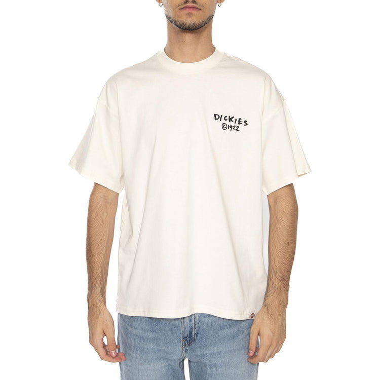 Sneedville Tee SS Egret - Maglietta Girocollo Uomo Beige DK0A87QOC481 . DICKIES 