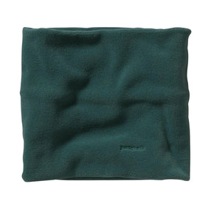  28891-PIGR  PATAGONIA 