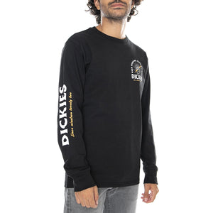  DK0A4X66BLK1  DICKIES 