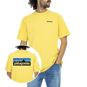  39174-SUYE  PATAGONIA 