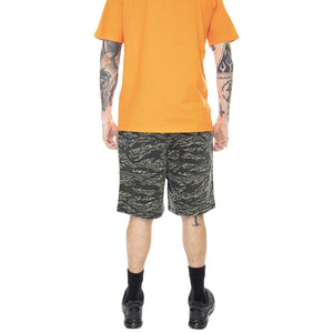  GB01916000-TCAM  GLOBE 