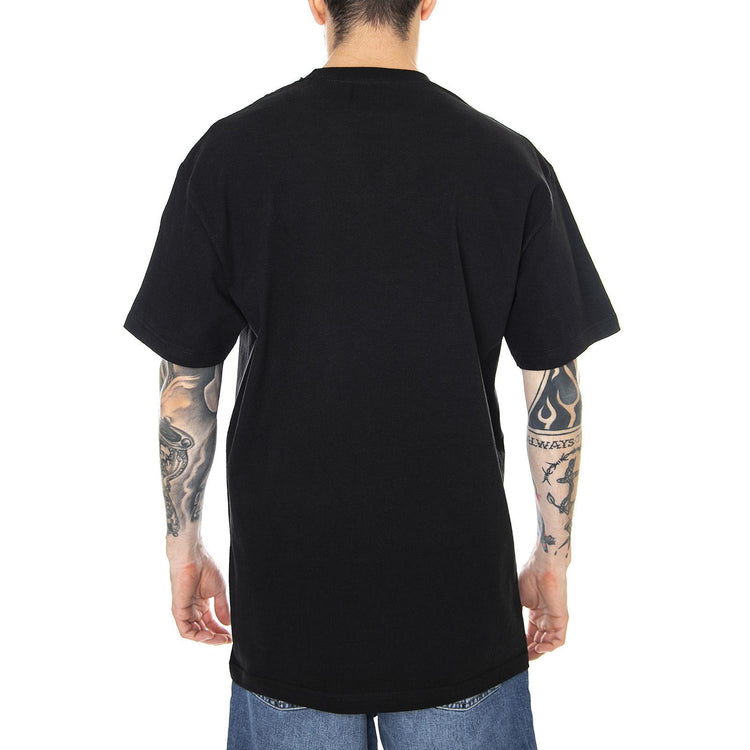  PRASS10731  PRIMITIVE 