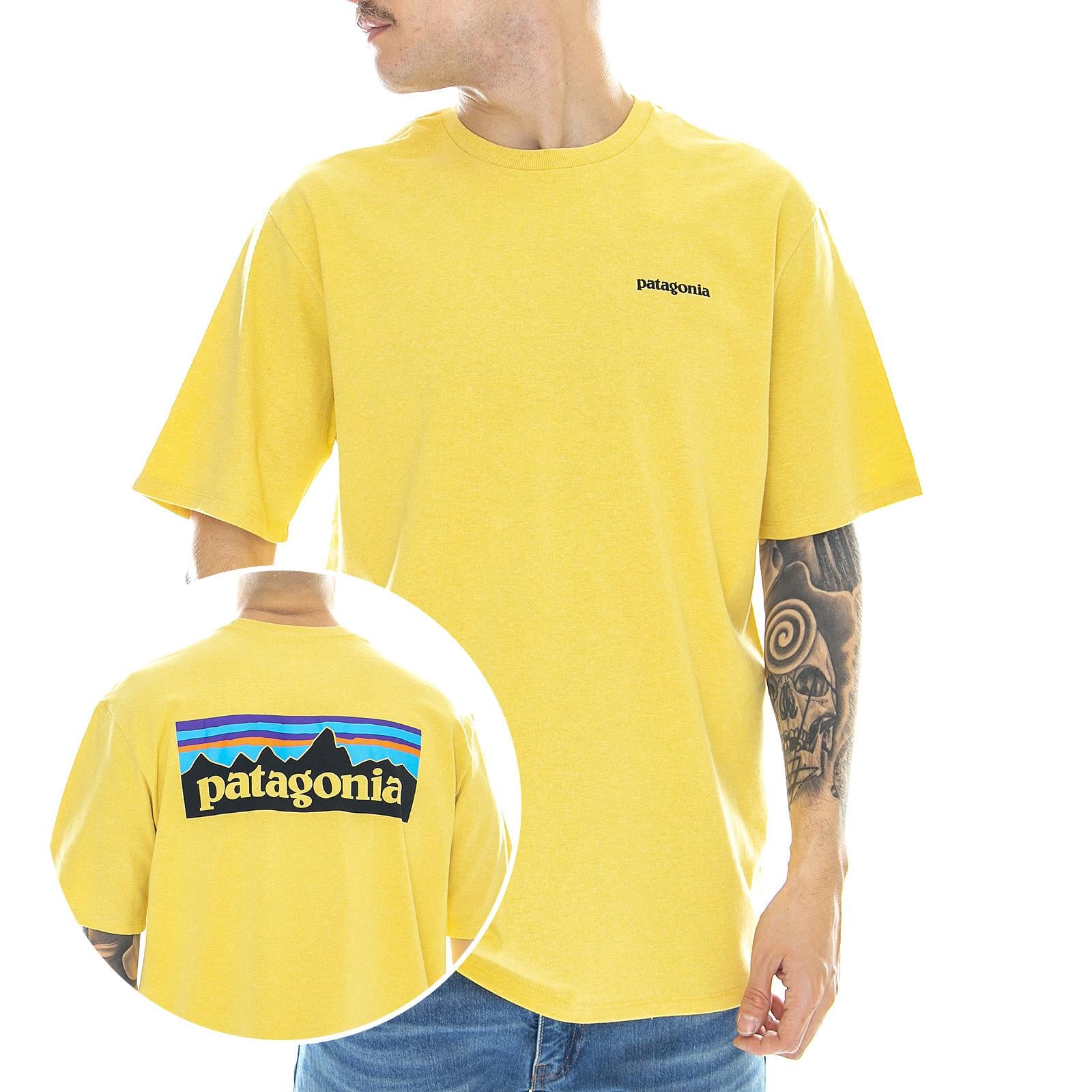  38504-SUYE  PATAGONIA 