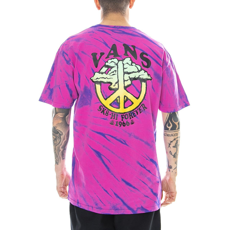  VN0A49PPYKF1  VANS 