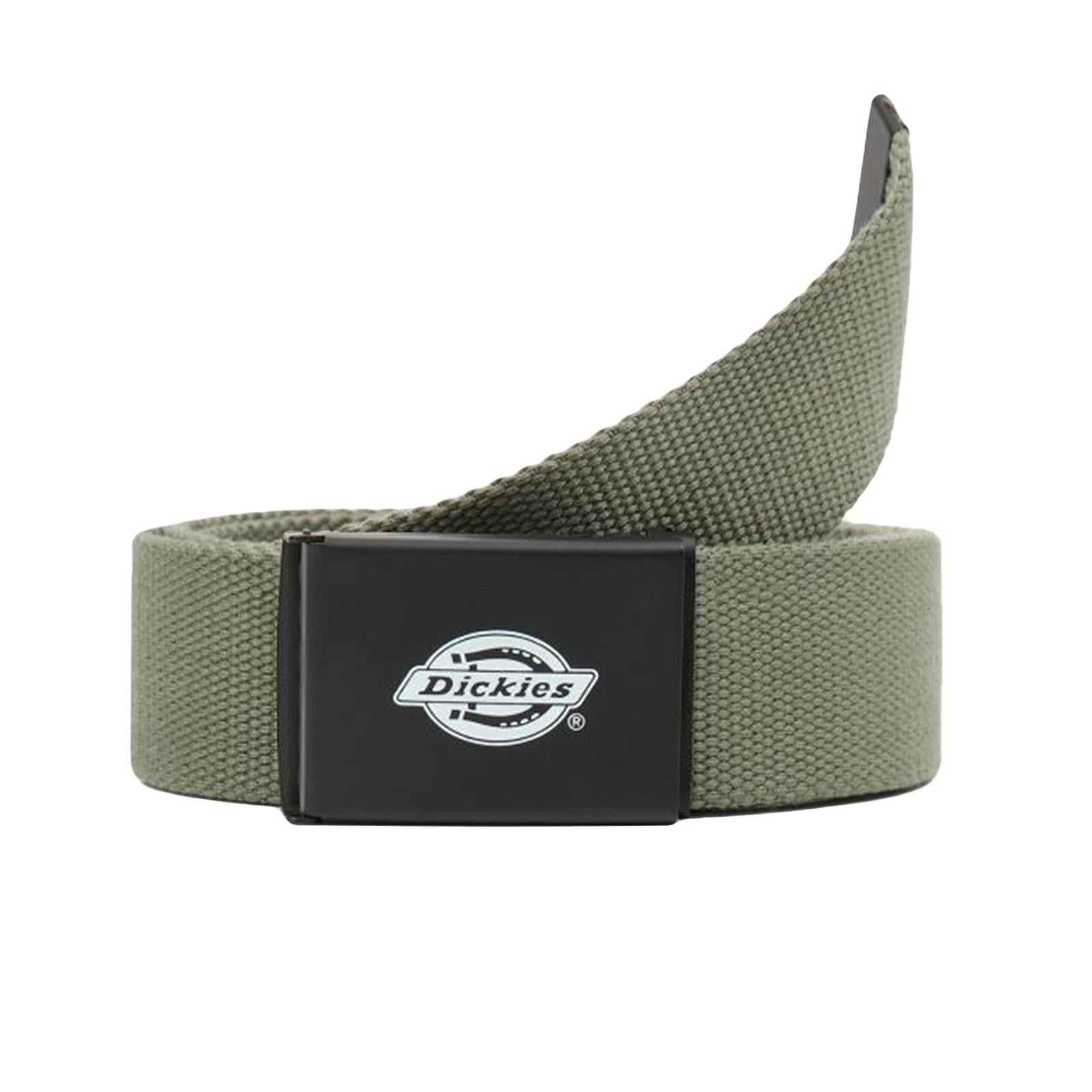  DK0A4X7EAGR1  DICKIES 