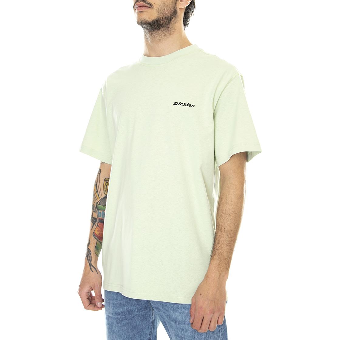  DK0A4X9OC341  DICKIES 