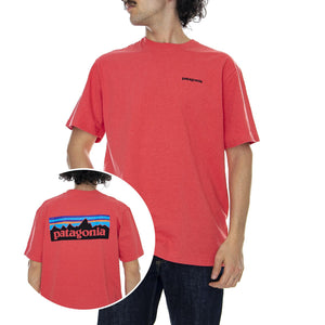  39174-TOMA  PATAGONIA 