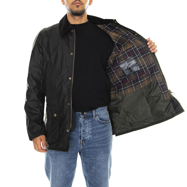  BACPS0819-OL71-F19  BARBOUR 