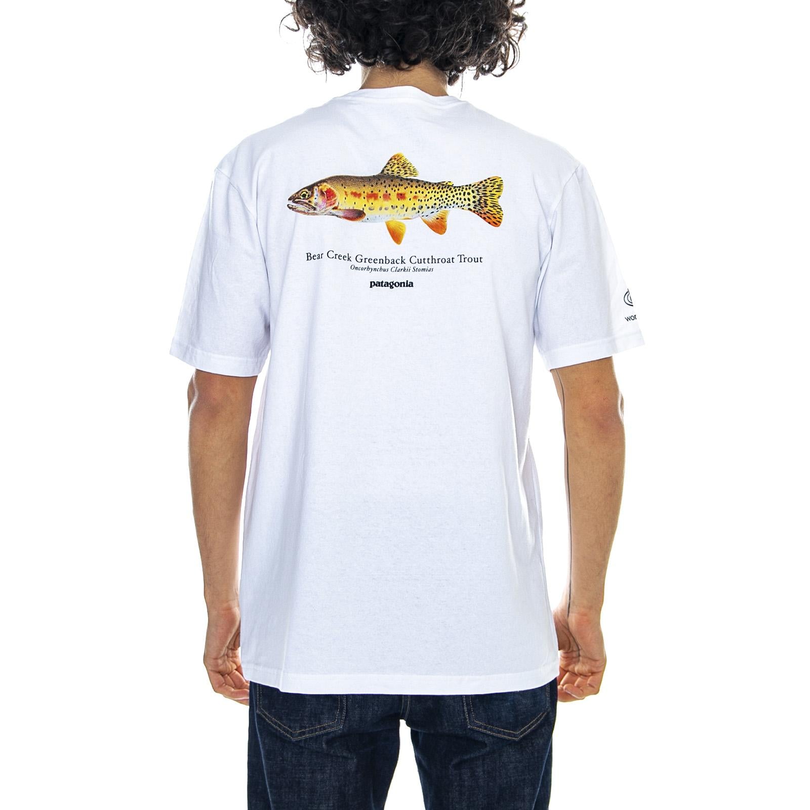  38447-WHI  PATAGONIA 