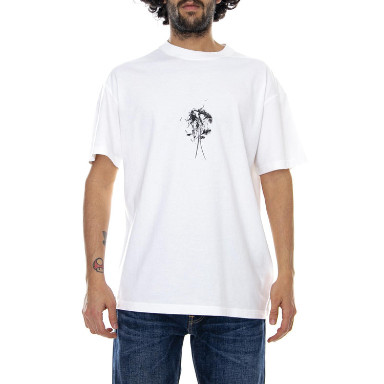  GB01810024-MILK  GLOBE 