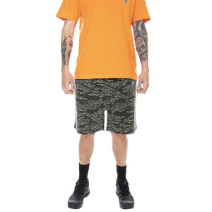  GB01916000-TCAM  GLOBE 