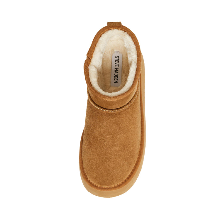 Campfire Tan - Sandali Donna Marroni SMSCAMPFIRE-215  STEVE MADDEN 