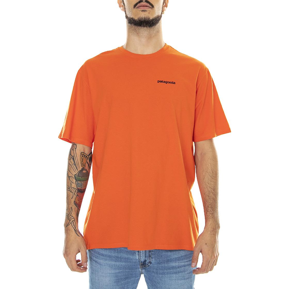  37529-MEOR  PATAGONIA 