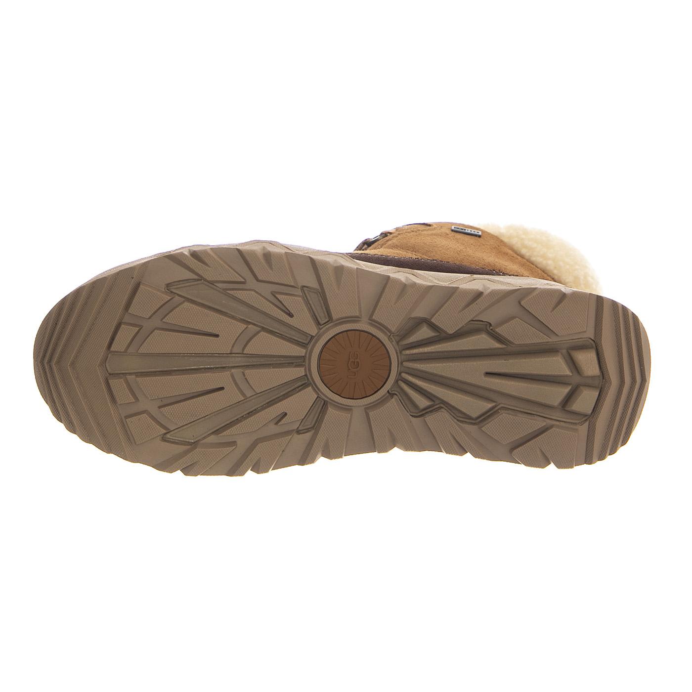 W Terretrail Cozy Lace Chestnut - Scarpe Donna Marroni UGSTERCLCHE1158210W  UGG 