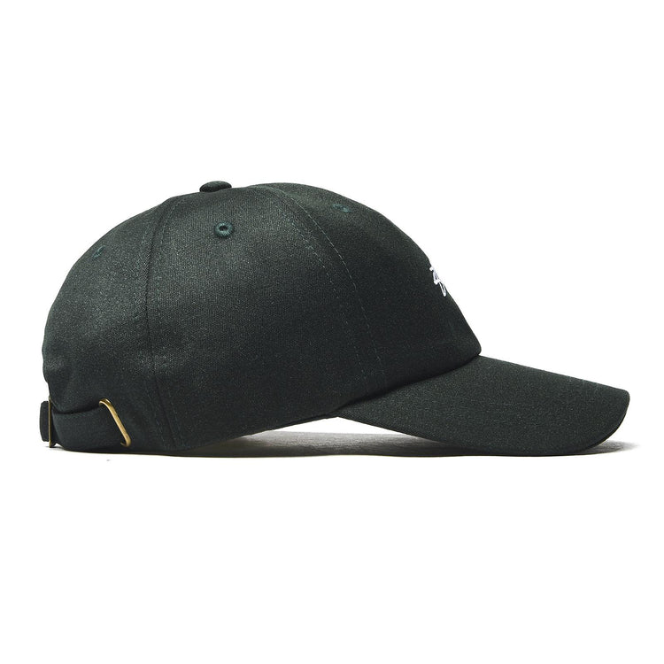 SUITING LOW PRO CAP PINE 131793-PINE  STUSSY 