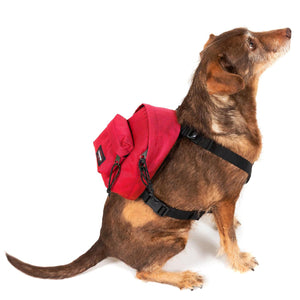 Dog Pak'R Sailor Red - Zaino Rosso EK0A5BEO84Z1  EASTPAK 