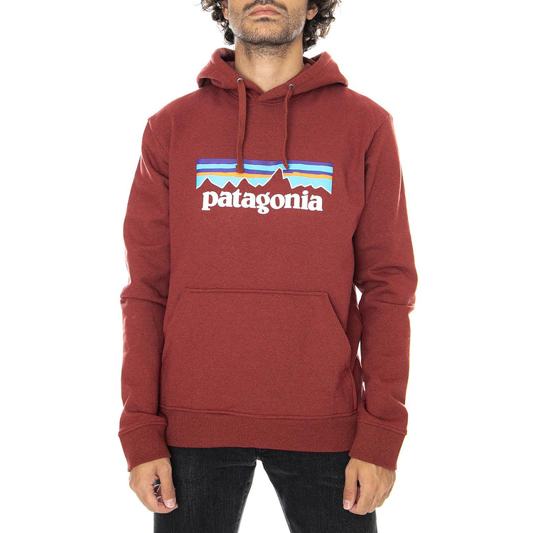  39539-BARR  PATAGONIA 