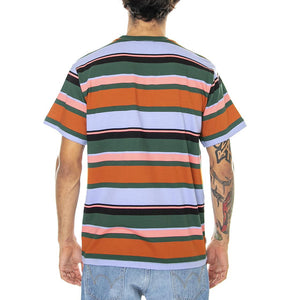 Stroming Stripe Tee SS Dark Cedar Multi - Maglietta Girocollo Uomo Multicolore 131080336-DCD  OBEY 