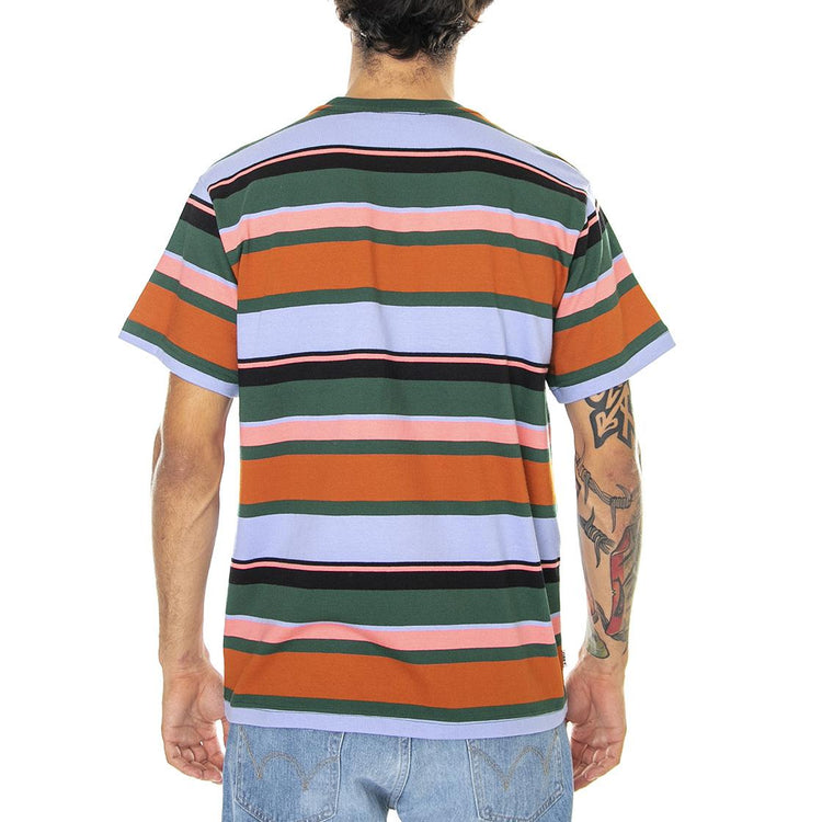 Stroming Stripe Tee SS Dark Cedar Multi - Maglietta Girocollo Uomo Multicolore 131080336-DCD  OBEY 