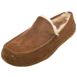  UGMASCCHE1101110M  UGG 