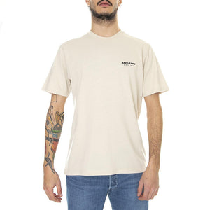  DK0A4XNYC391  DICKIES 