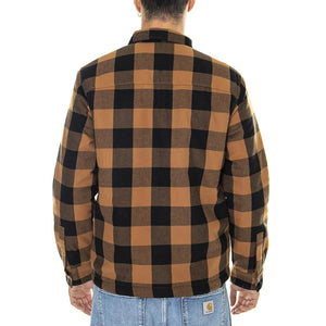  DK0A4XGRBD01  DICKIES 