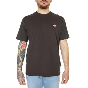 SS Mapleton T-Shirt Dark Brown - Maglietta Girocollo Uomo Marrone DK0A4XDBDBX1  DICKIES 