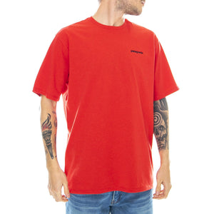  38504-FRE  PATAGONIA 