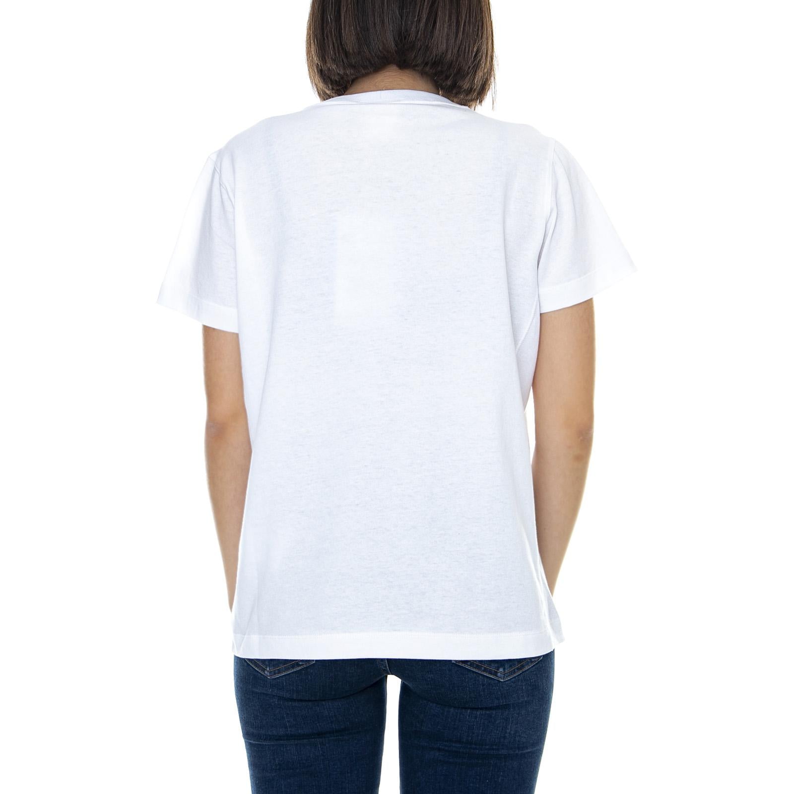  110992-WW001  CHAMPION 