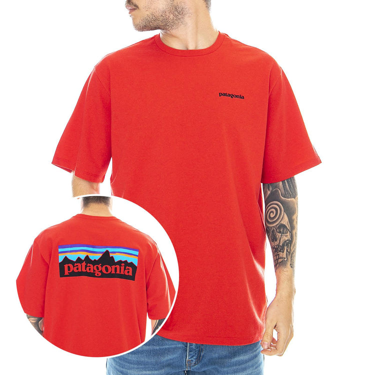  38504-FRE  PATAGONIA 