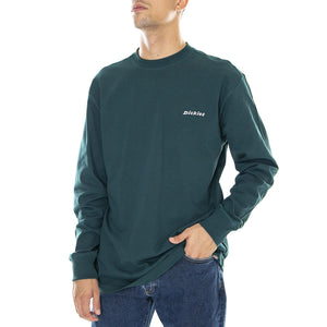  DK0A4X9MB851  DICKIES 