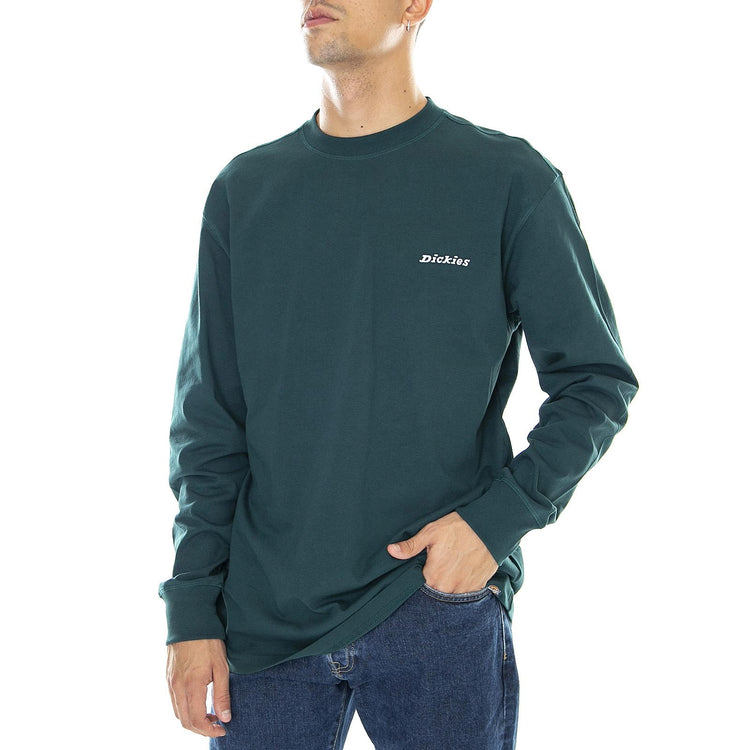  DK0A4X9MB851  DICKIES 