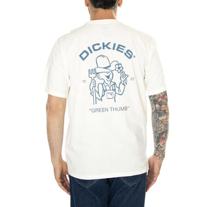 Wakefield Tees SS Cloud - Maglietta Girocollo Uomo Bianca DK0A4YRCC581  DICKIES 